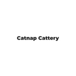 catnapcattery-Logo
