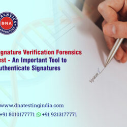 Signature-Verification-Forensics-Test---An-Important-Tool-To-Authenticate-Signatures