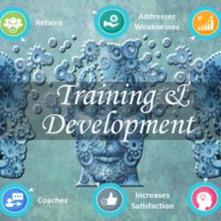 Training _ Development