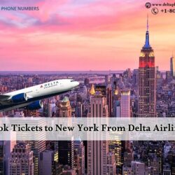 Delta phone banner 303