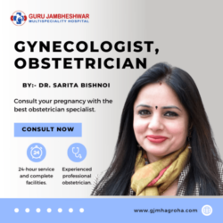 Gynecologist (1)