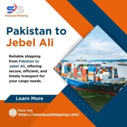 Pakistan to Jebel Ali (1)