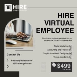 Hire Dedicated Virtual Employee India