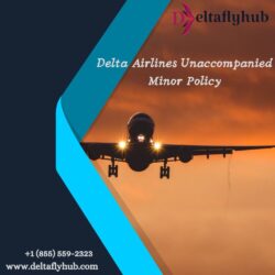 Delta Airlines Unaccompanied Minor Policy