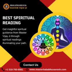 Best Spiritual Reading in California_Master Vijay Ji