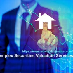 Complex Securities Valuation Aug24 image