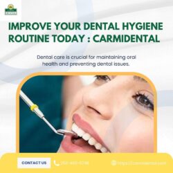 Improve Your Dental Hygiene Routine Today