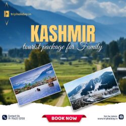 Kashmir tourist package for Family