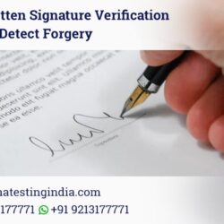 Signature Verification