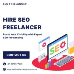 Hire SEO Freelancer