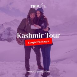 kashmir tour packages for couple (3)