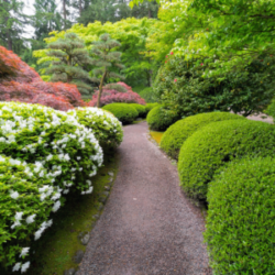 trimmed-and-pruned-garden-300x300