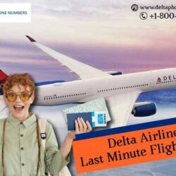 Delta phone banner 387