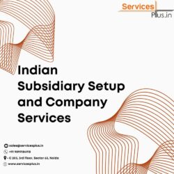 Indian Subsidiary Setup