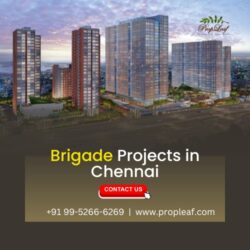 Brigade Projects in Chennai