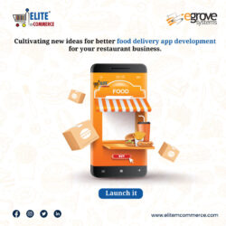 Food_Delivery_App_Development_optimized_250