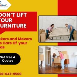 Don't lift furniture packers and movers take care goods