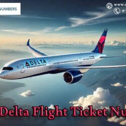 Delta phone banner 405