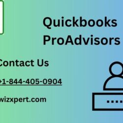 Quickbooks ProAdvisors (1)