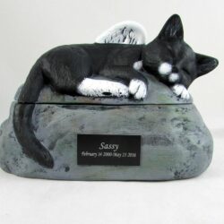 cat urns for ashes - urns for ashes