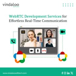 WebRTC Development (1)