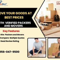 move goods at best prices