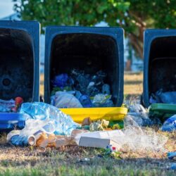 Dumpster Rental in Orange County, CA