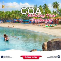 goa holiday tour packages