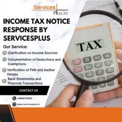 Income Tax Notice Response