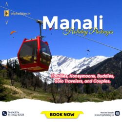 Manali holiday packages