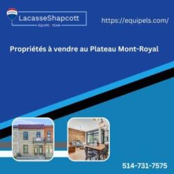 Propriétés à vendre au Plateau Mont-Royal...