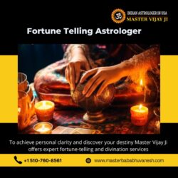 Fortune Telling Astrologer in California_Master Vijay Ji