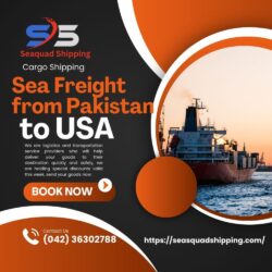 Sea Freight from Pakistan to USA