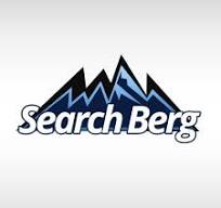 searchberg logo