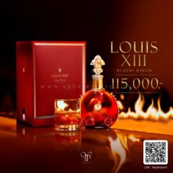 remy martin louis - Copy