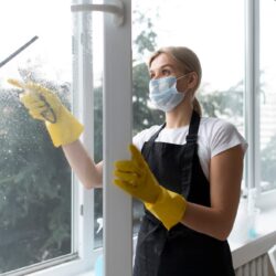 Window Cleaning Services