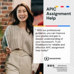 APIC Assignment Help 1