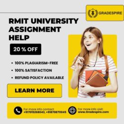 RMIT University Assignment Help 1