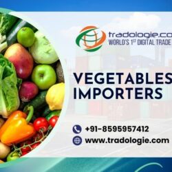 41. Vegetables Importers