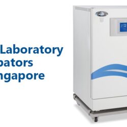 Incubators in Singapore