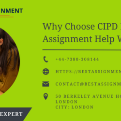 Why Choose CIPD Level 7 Assignment Help With BAE