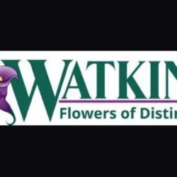 Watkins Flowers of Distinction