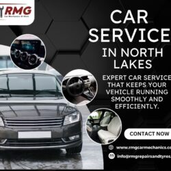 RMG Car Mechanic In North (1)