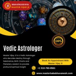 Vedic Astrologer in California_Master Vijay Ji