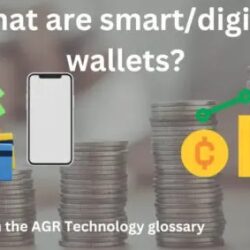 resource on this website about smart wallets