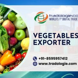 40. Vegetables Exporter