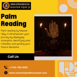 Palm Reading in California_Master Vijay Ji