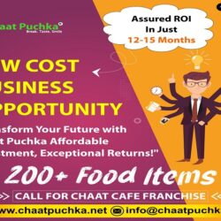 Must-Try Dishes at Chaat Puchka  Best & Tastiest Street Food Delights - Copy