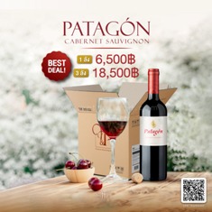 patagon cabernet sauvignon 2019 - Copy