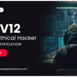 Certified Ethical Hacker Training